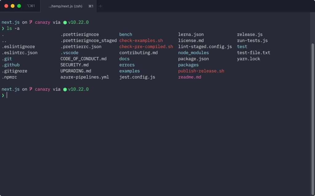 Terminal running ls -a in the Next.js repo, with folders, dotfiles and scripts in different colours, and a Starship prompt showing the canary git branch and Node v10.22.0